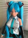 Miku Wig +$25.0