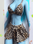 Leopard set