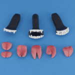 Vampire Tongue and Teeth Kit +$99.0