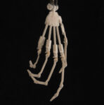 Add articulated Fingers +$99.0