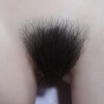 Pubic Hair #2 +$49.0