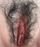 Add Pubic Hair +$50.0