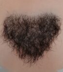 Pubic Hair #2 +$49.0