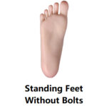 Standing Feet Without Bolts +$75.0